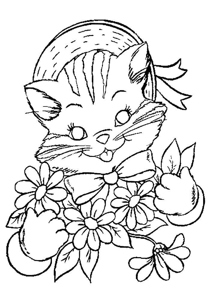 Название: Раскраска Котенок с бантиков и цветами в панамке. Категория: котята и щенки. Теги: кот, цветы.