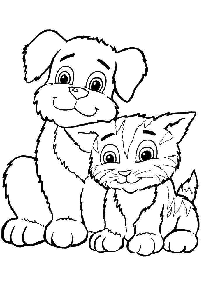 Название: Раскраска Котенок сидит рядом с щенком. Категория: котята и щенки. Теги: котенок, щенок.