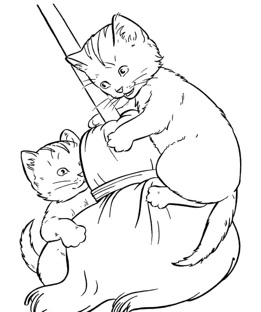 Coloring Kittens playing with a broom. Category cute animals. Tags:  kittens.
