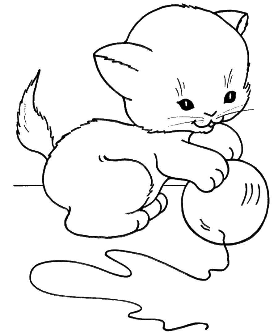 Название: Раскраска Маленький милый котенок играется с клубочком. Категория: котята и щенки. Теги: клубок, котенок.