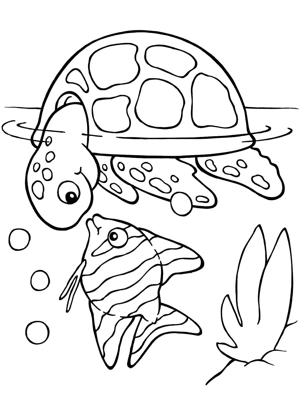 Название: Раскраска Черепаха с рыбкой. Категория: раскраски. Теги: черепаха.