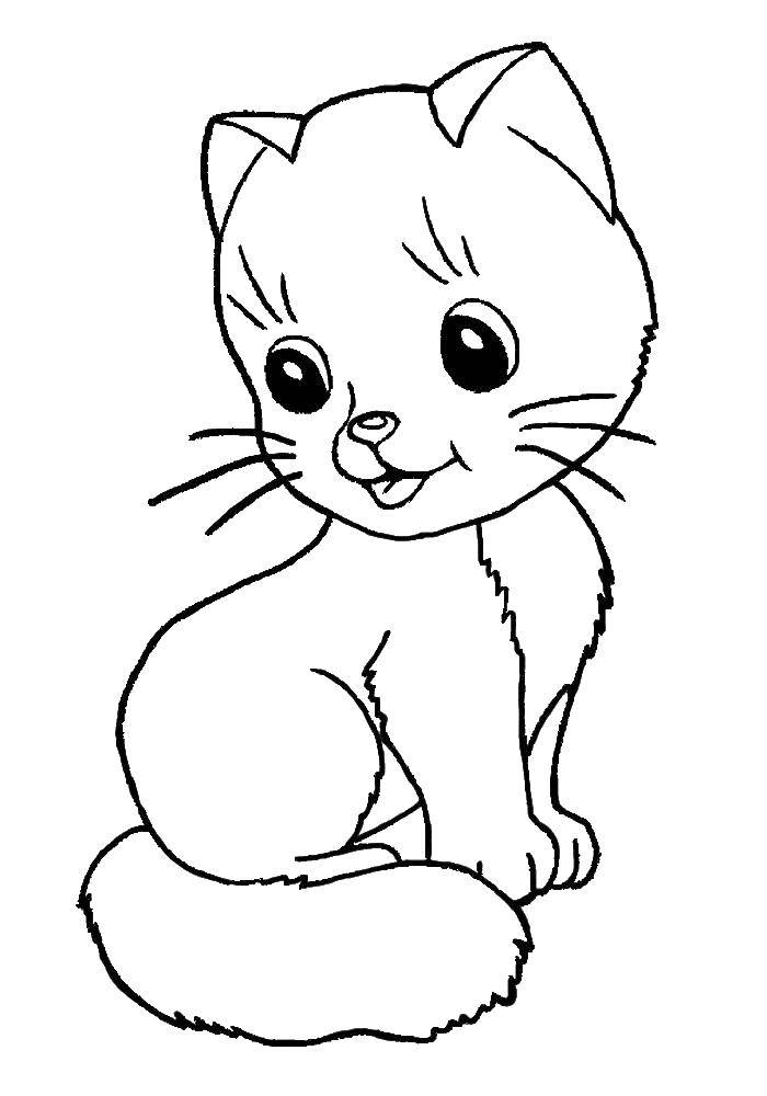Название: Раскраска Котенок. Категория: котята и щенки. Теги: кошка, котята.