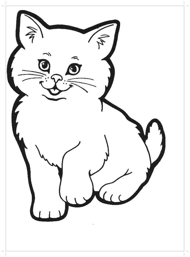 Название: Раскраска Котик милый. Категория: котята. Теги: котик.