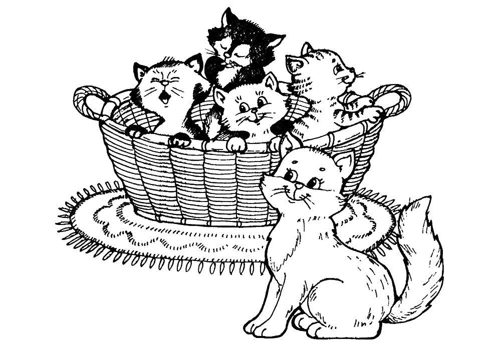Название: Раскраска Котята в корзинке. Категория: Коты и котята. Теги: животные, кошка, котенок.