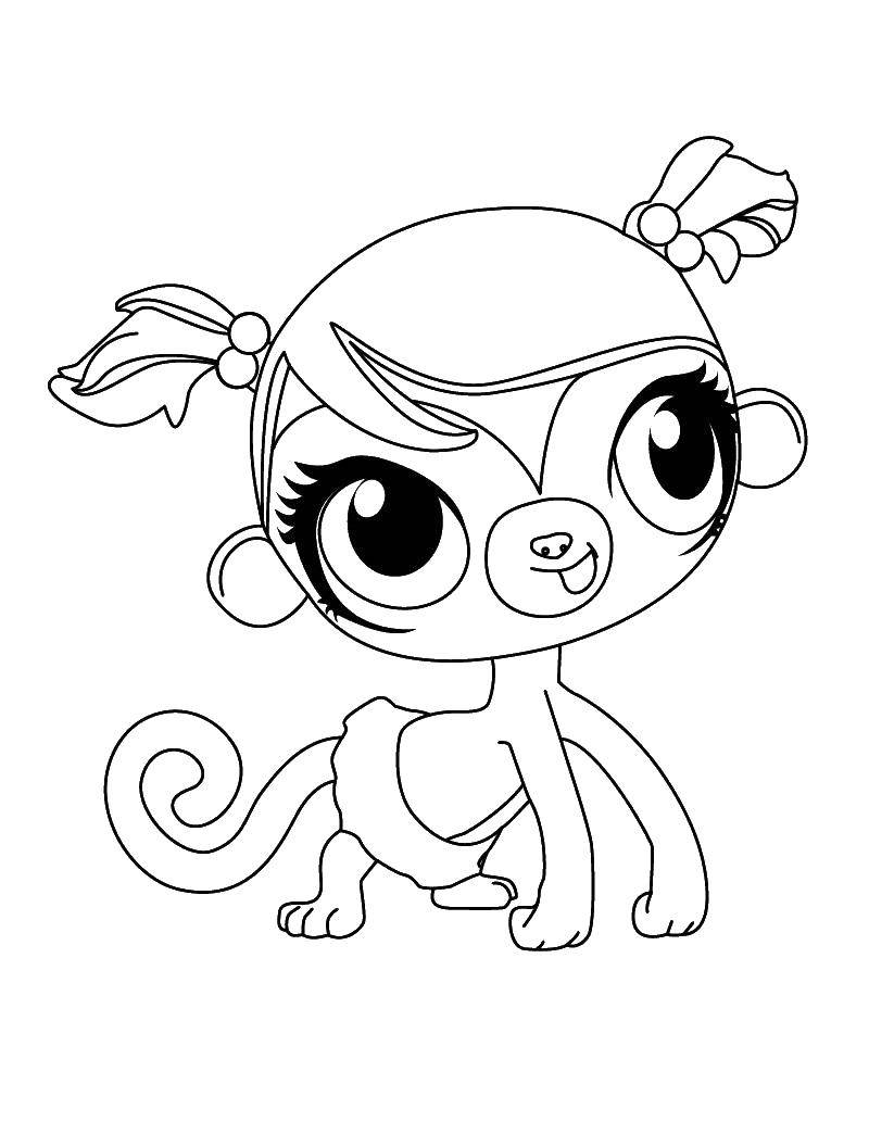 Coloring Little monkey. Category Animals. Tags:  animals, APE, monkey.
