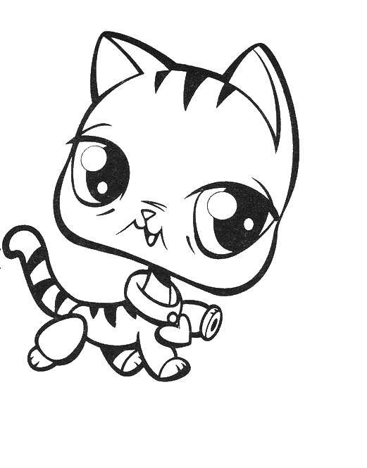 Coloring A cute kitty with a big head and a collar. Category kittens and puppies. Tags:  cat.