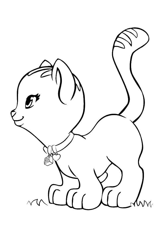 Розмальовки  Кошеня гуляє по травичці. Завантажити розмальовку котик.  Роздрукувати ,кошенята і цуценята,