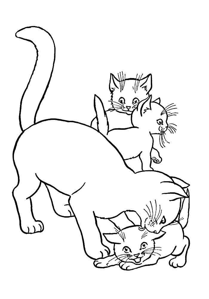 Название: Раскраска Кошка с котятами. Категория: котята и щенки. Теги: кошка, котята.