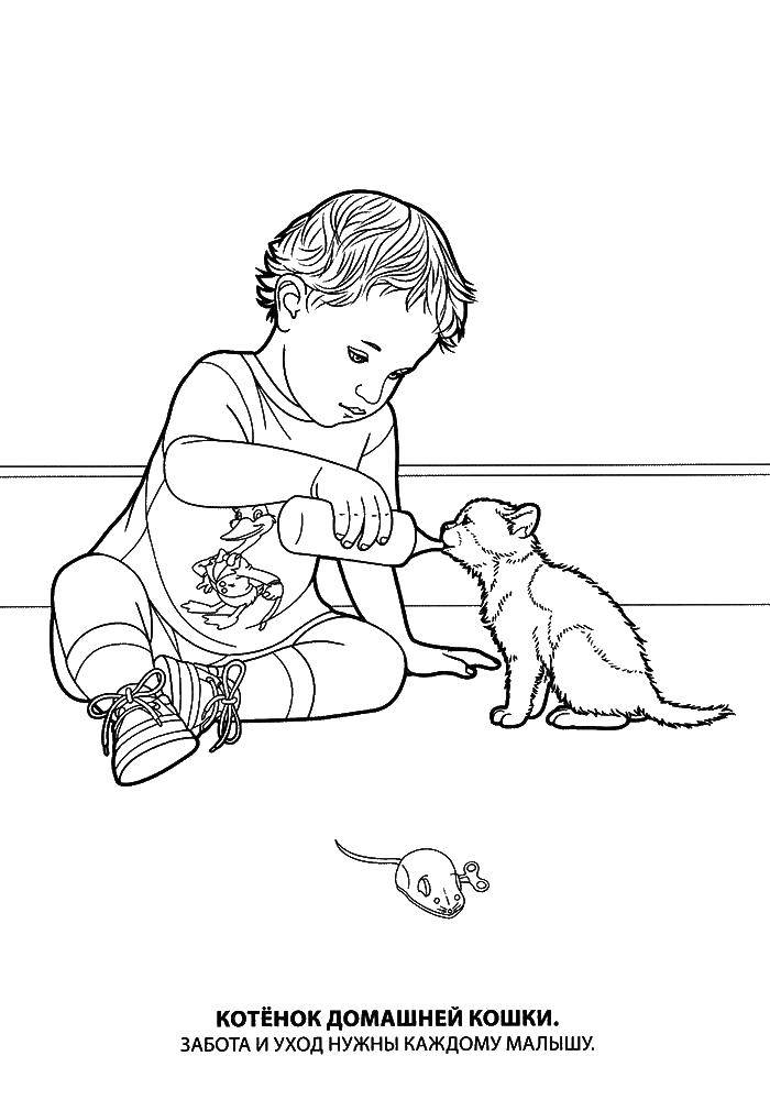 Название: Раскраска Мальчик кормит котенка с бутылочки. Категория: котята и щенки. Теги: кормят, котенок, мальчик, мышка.