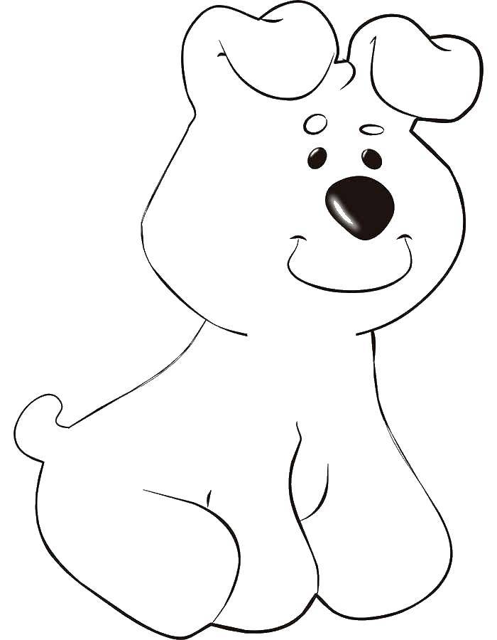 Название: Раскраска Маленький щенок с обвислыми ушками. Категория: собаки. Теги: щенок.