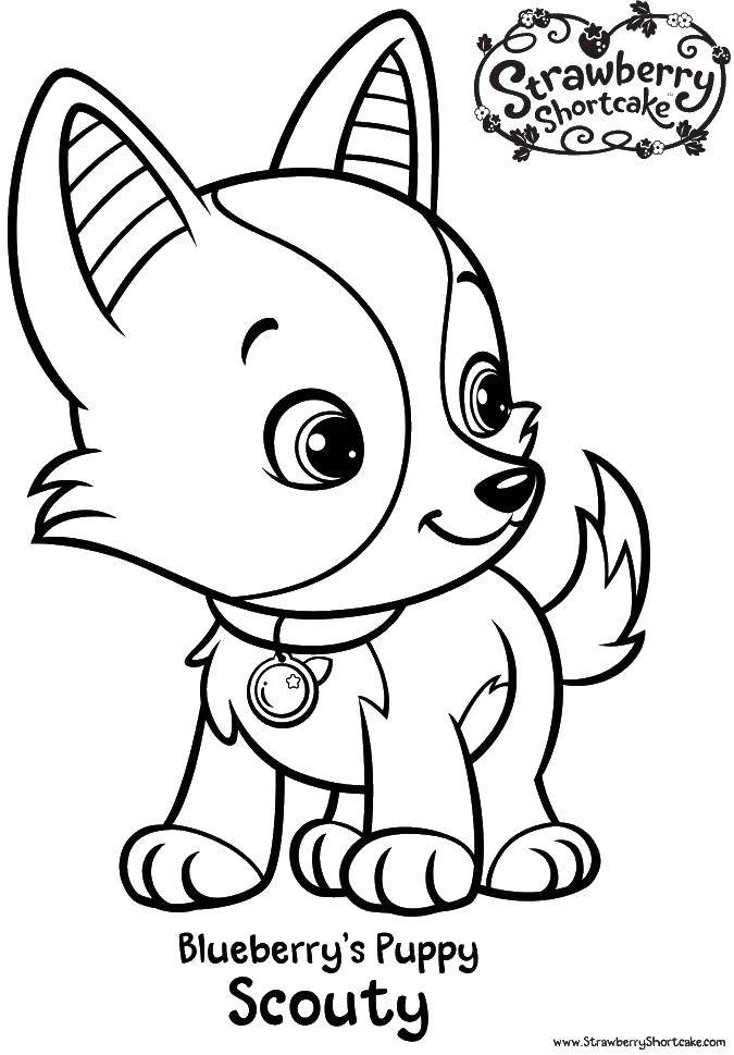 Coloring Little puppy. Category dogs. Tags:  puppy .