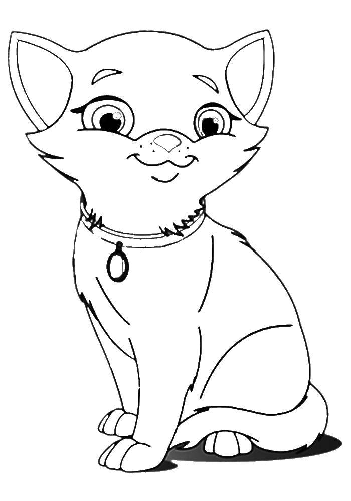 Coloring Cute kitty with a collar. Category kittens and puppies. Tags:  kitty.