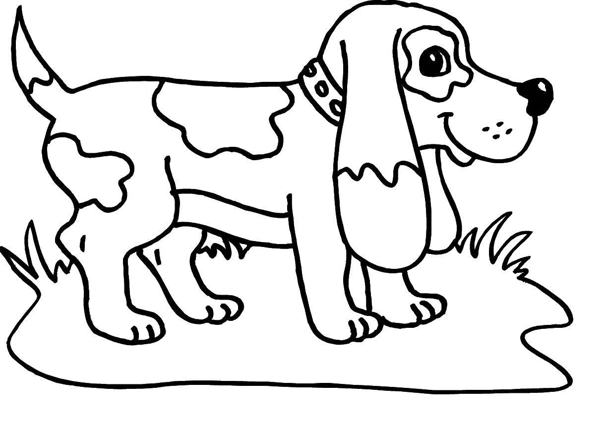 Название: Раскраска Песик на травке. Категория: собаки хаски. Теги: песик.
