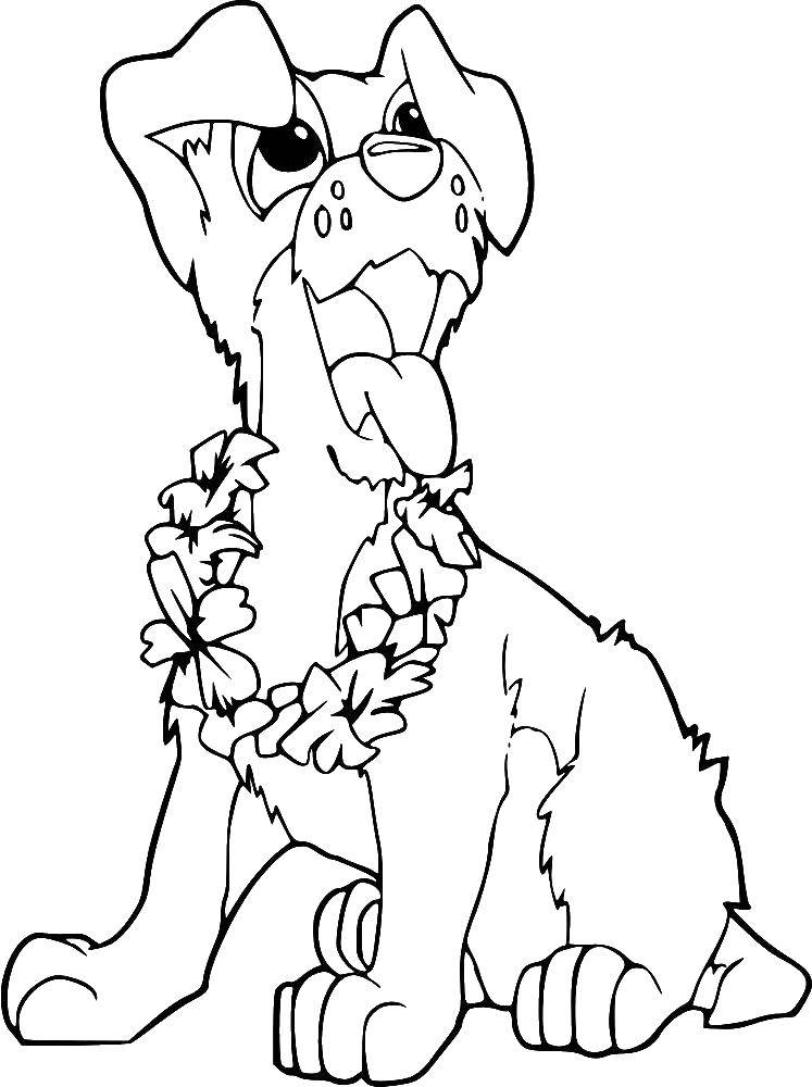 Название: Раскраска Собака с цветами. Категория: собаки. Теги: цветы.