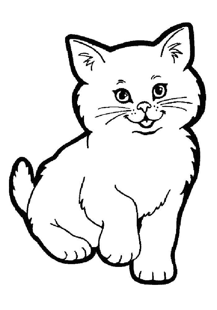 Название: Раскраска Кошка. Категория: котята и щенки. Теги: кошка, котята.