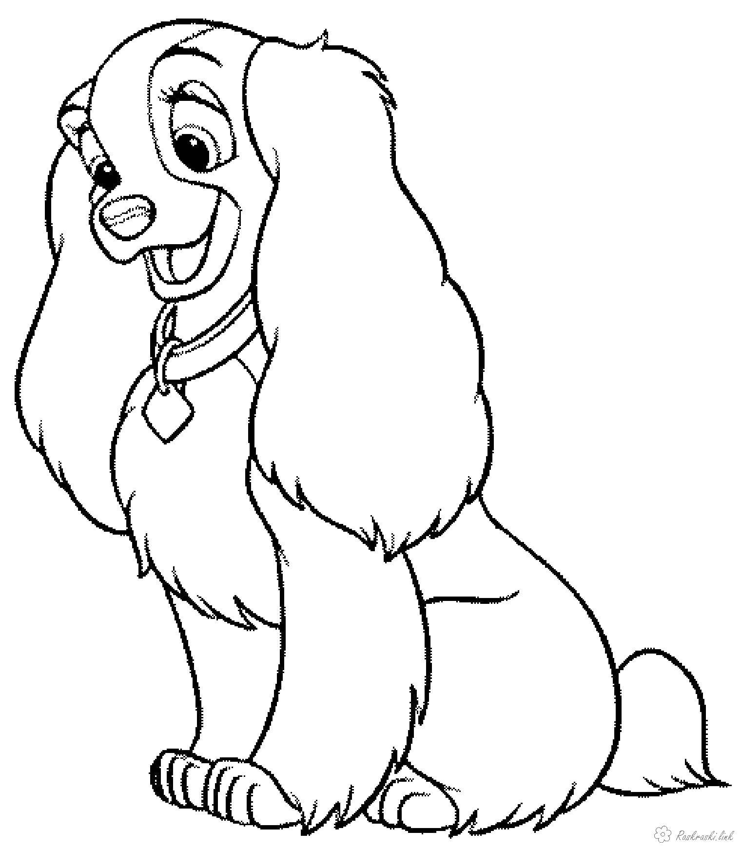 Coloring Lady. Category cartoons. Tags:  lady and the tramp.
