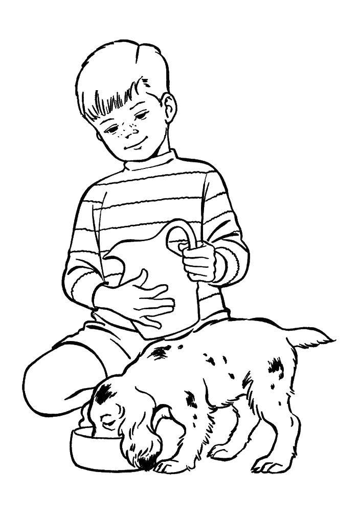 Название: Раскраска Мальчик кормит собаку. Категория: собаки. Теги: собака.