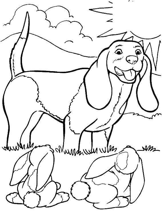 Coloring Dog found bunnies. Category dogs. Tags:  dog , Bunny.
