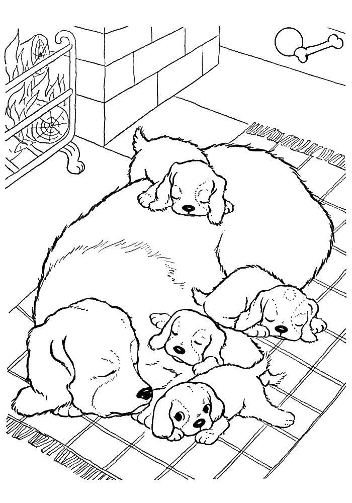 Название: Раскраска Собака с щенками спят. Категория: собаки хаски. Теги: собака, щенки.