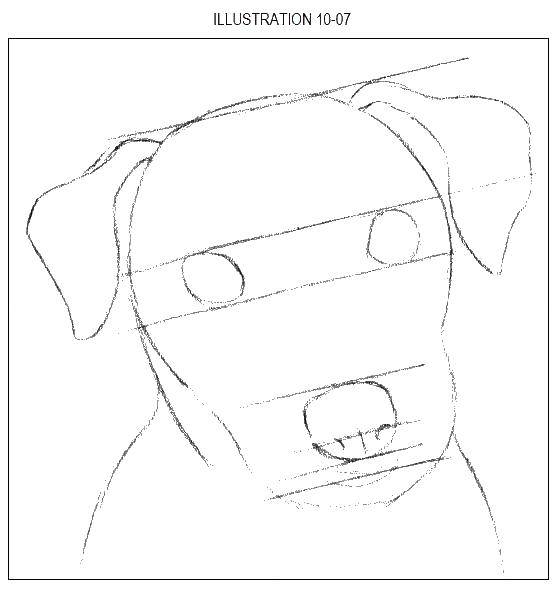 Название: Раскраска Рисуем собаку. Категория: собаки хаски. Теги: рисуем, собака.