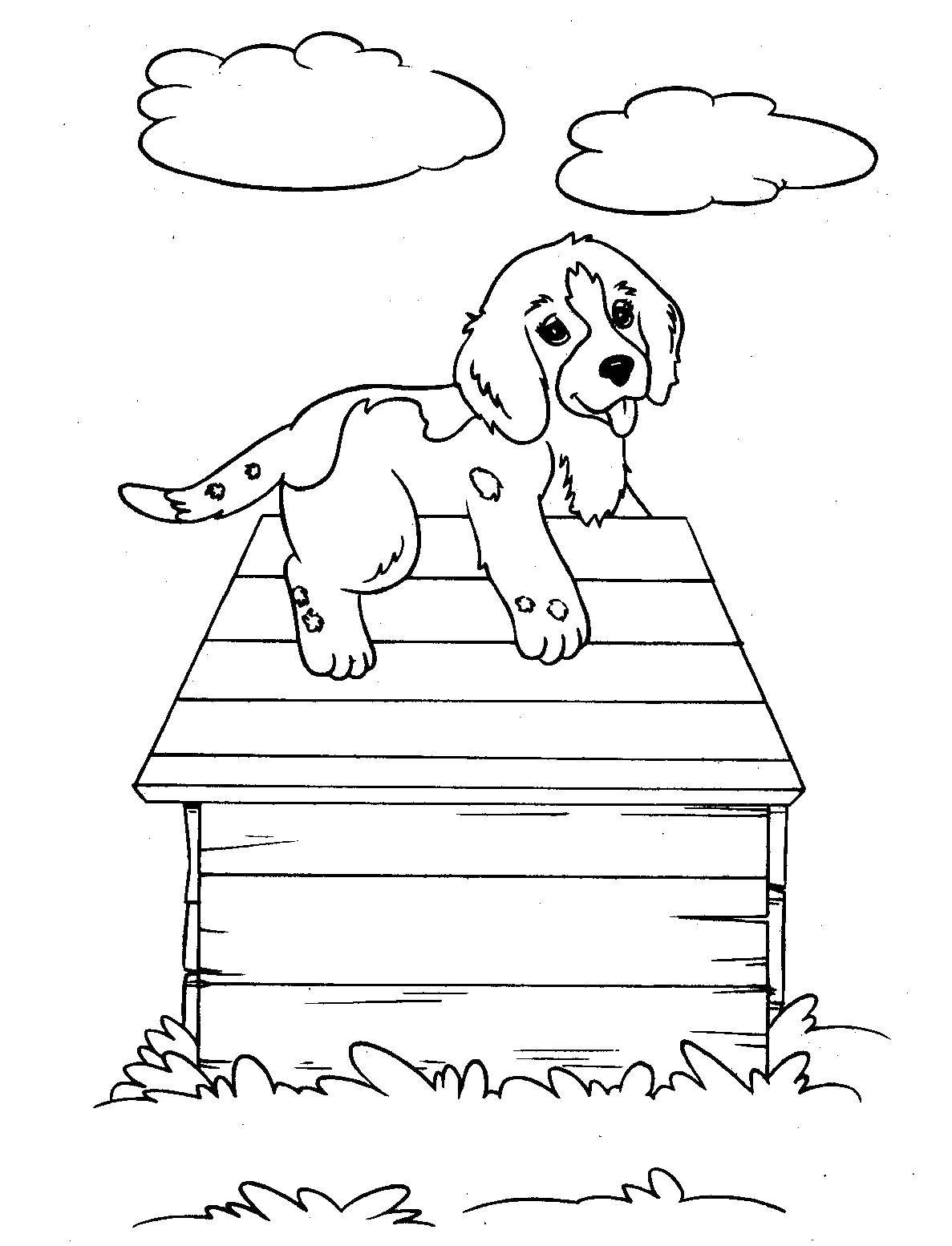 Название: Раскраска Щенок на крыше будки. Категория: собаки. Теги: собака.