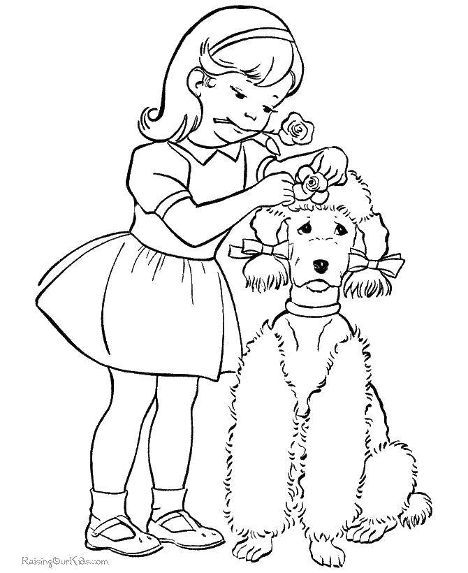 Coloring Girl combing her poodle. Category dogs poodle. Tags:  dogs, poodle.