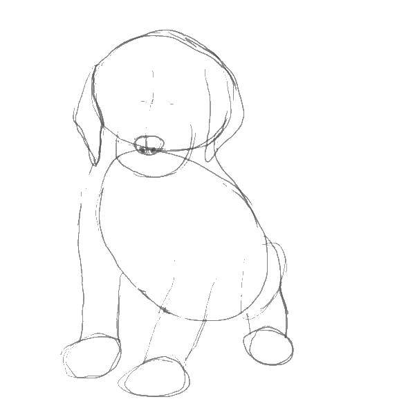 Coloring Draw a dog. Category dogs. Tags:  draw, dog.