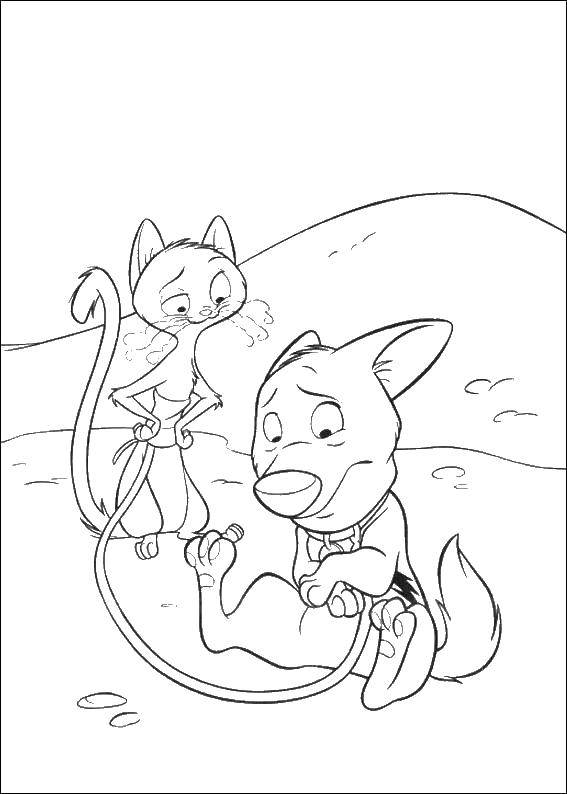 Coloring The dog V and his friends. Category Bolt cartoon. Tags:  Volt, dog.