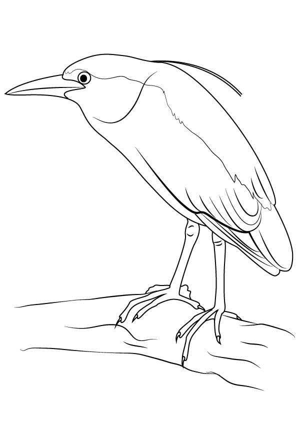 Название: Раскраска Птица с хохолком на ветке. Категория: Контуры для вырезания птиц. Теги: птица, ветка.