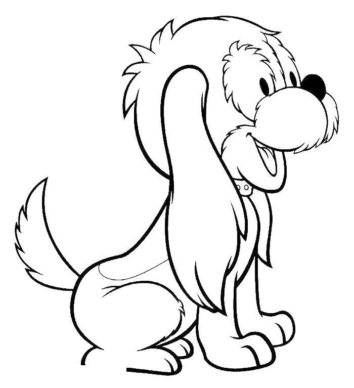 Coloring Dog. Category dogs. Tags:  the dog.