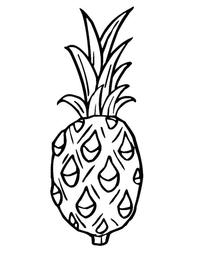 Coloring Pineapple. Category fruits. Tags:  pineapple. fruit.