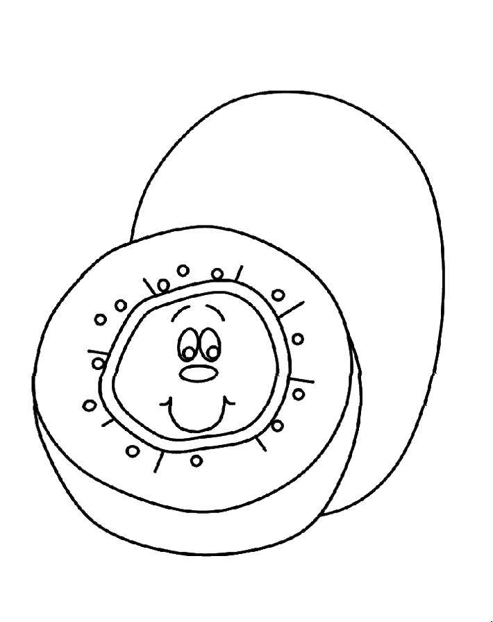Название: Раскраска Фрукт. Категория: фрукты. Теги: фрукт.