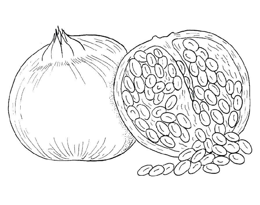 Coloring Garnet. Category fruits. Tags:  fruit, pomegranate.