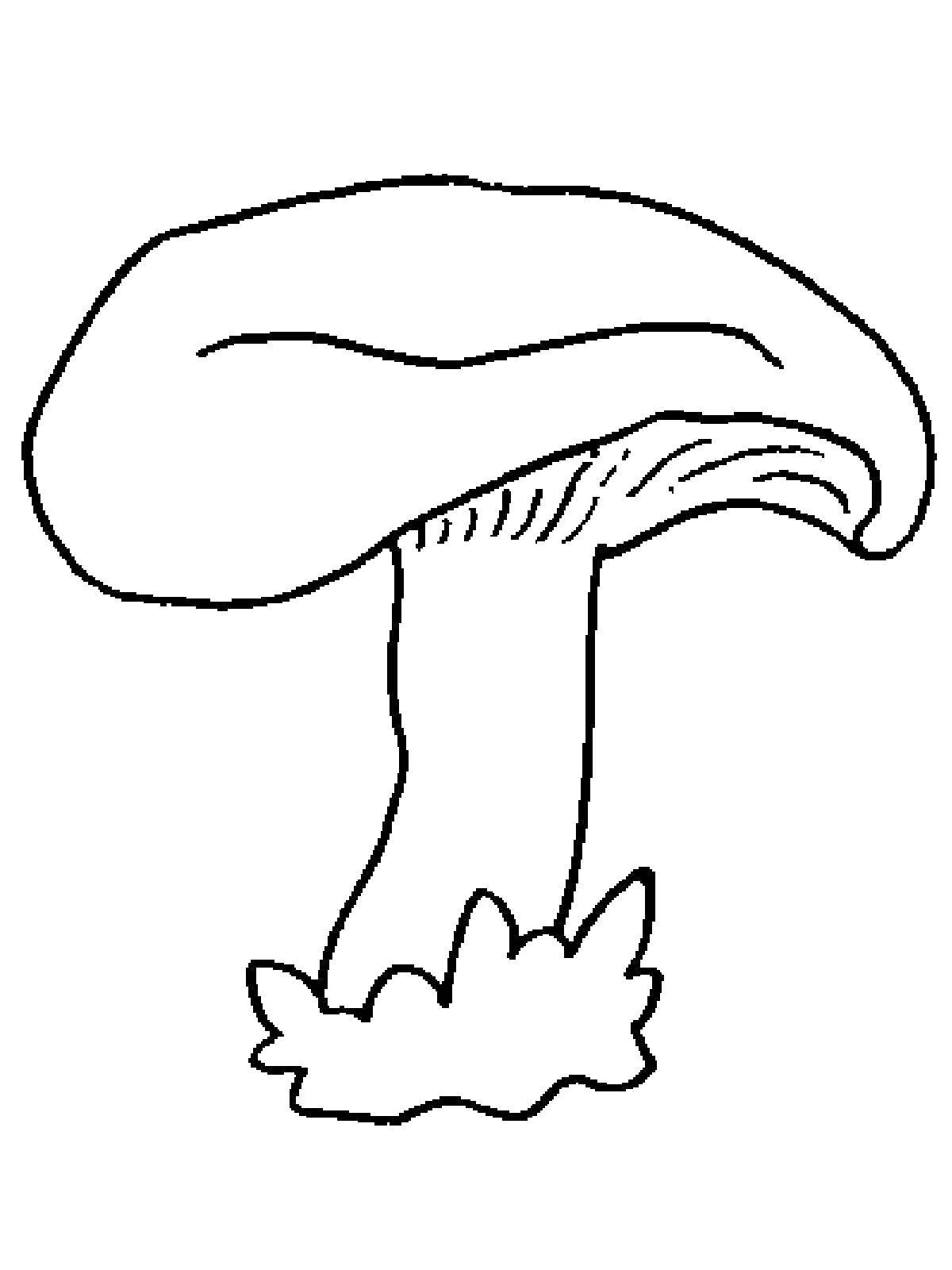 Название: Раскраска Гриб. Категория: грибы. Теги: гриб.