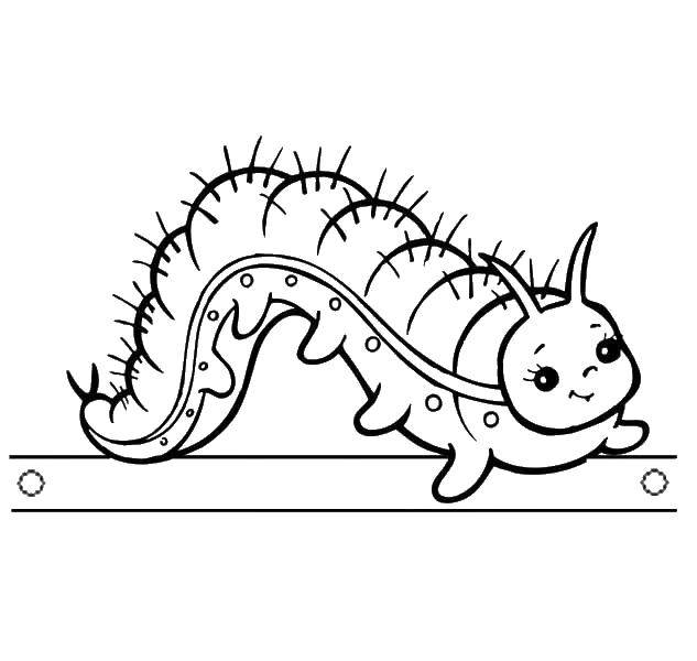 Coloring Chomp. Category Insects. Tags:  insects, caterpillar.