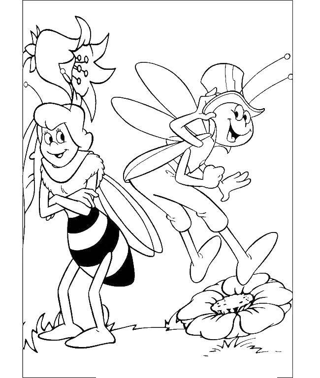 Название: Раскраска Кузнечик и пчелка мая. Категория: кузнечик. Теги: кузнечик, пчела.