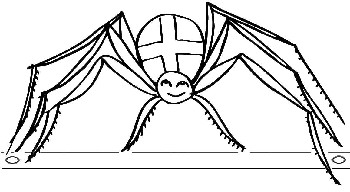 Coloring Spider. Category Insects. Tags:  insects, spider, spider.