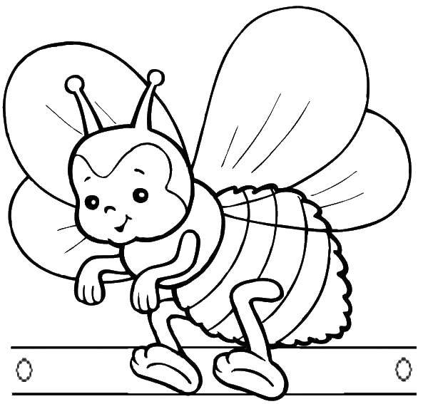 Название: Раскраска Пчелка. Категория: Насекомые. Теги: насекомые, пчела, пчелка.