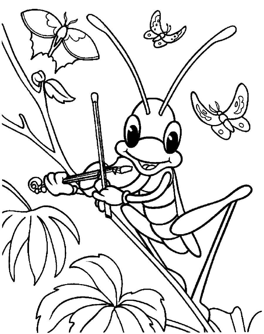 Coloring Grasshopper playing the violin. Category grasshopper . Tags:  grasshopper, violin.