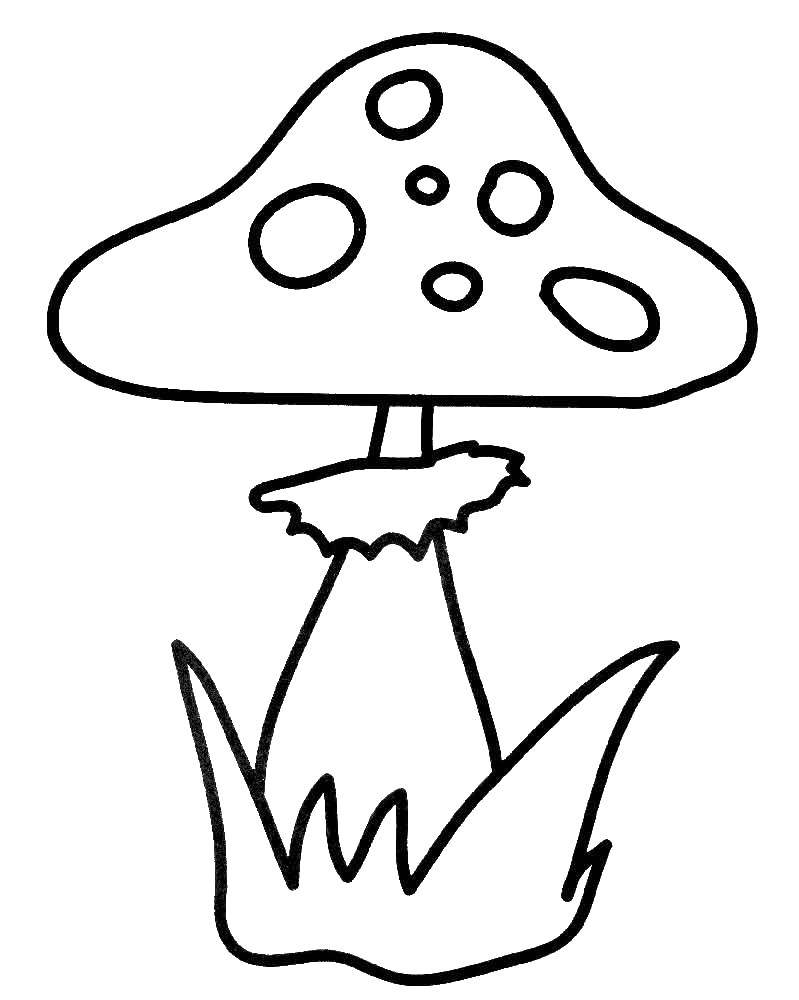 Coloring Muhamor. Category mushrooms. Tags:  mushrooms.