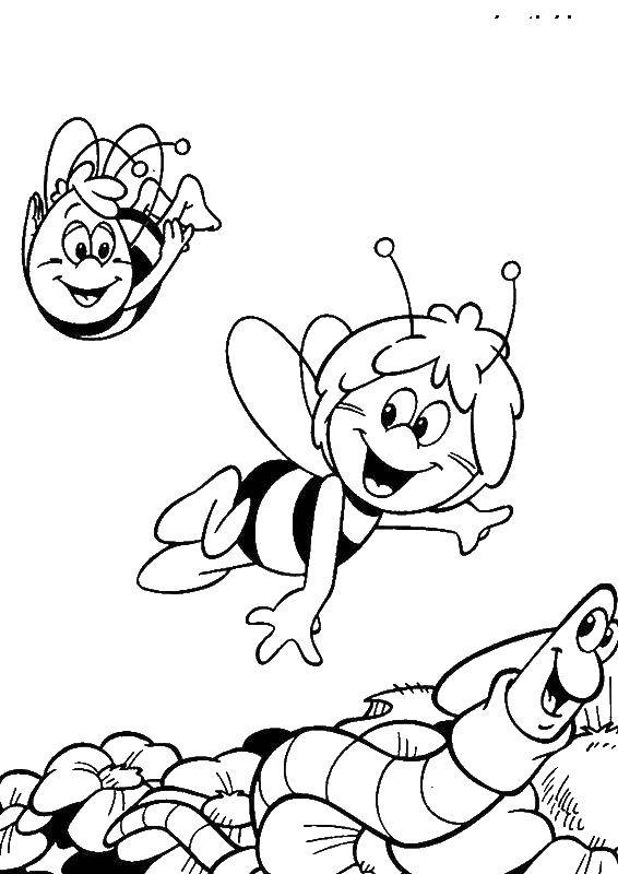Название: Раскраска Пчелка мая и вилли и червь макс. Категория: пчелка Мая. Теги: пчелка Мая, Вилли, червь Макс.