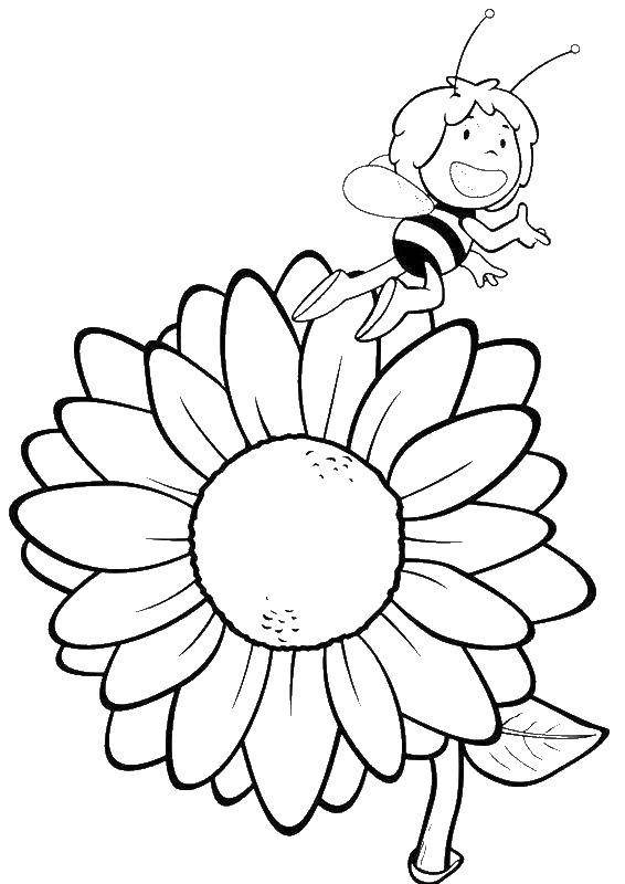 Coloring The bee may. Category cartoons. Tags:  The Bee May.
