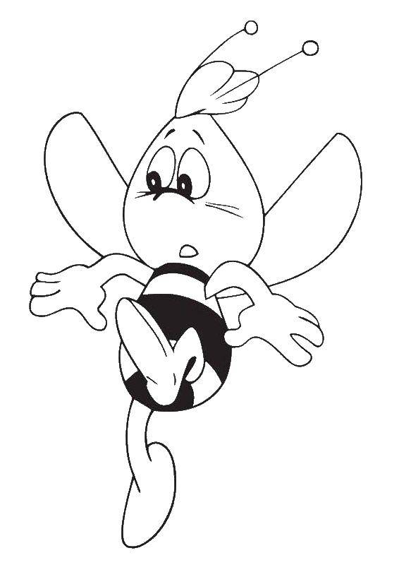 Coloring Willie bee. Category cartoons. Tags:  Bee, Willy.