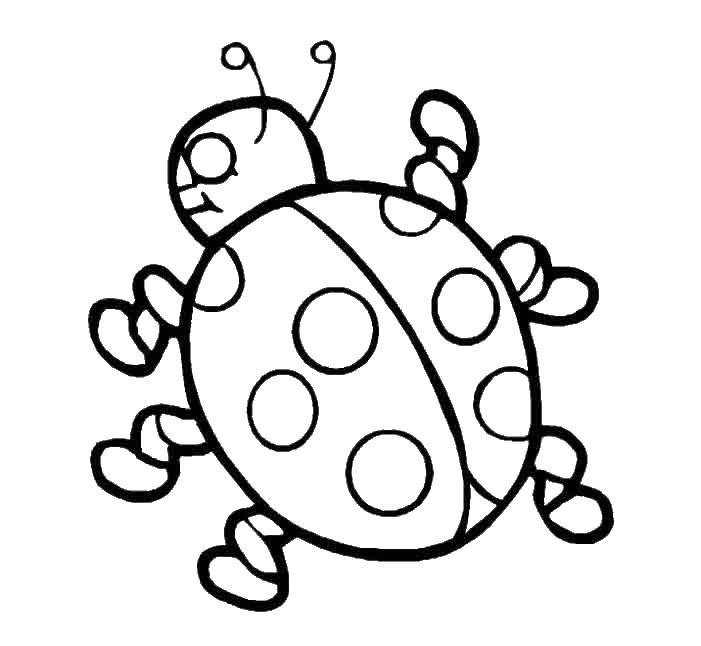 Coloring Ladybug. Category ladybug. Tags:  ladybug.