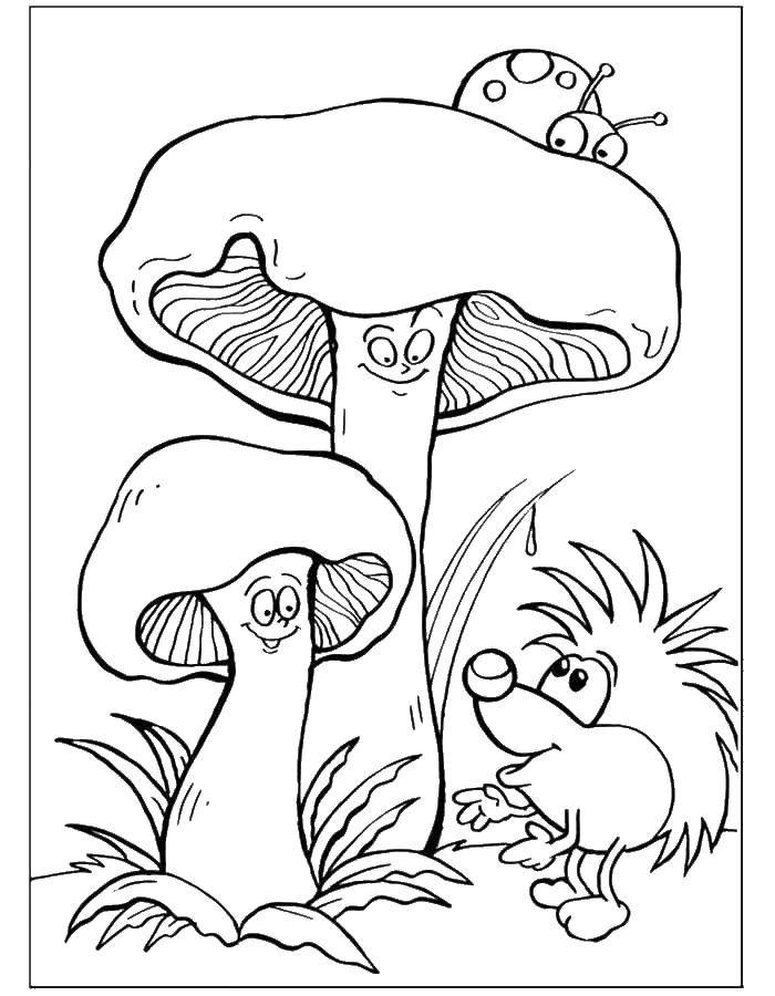 Название: Раскраска Грибы и ежик. Категория: грибы. Теги: грибы.