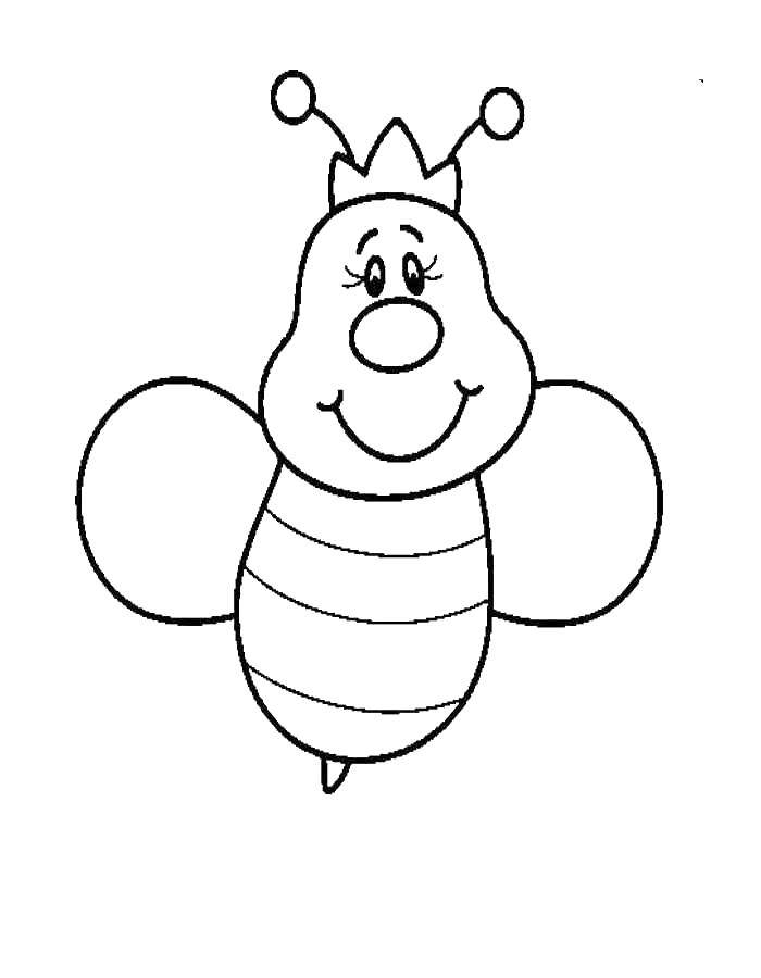 Coloring The Queen bee. Category bee. Tags:  Queen, bee.