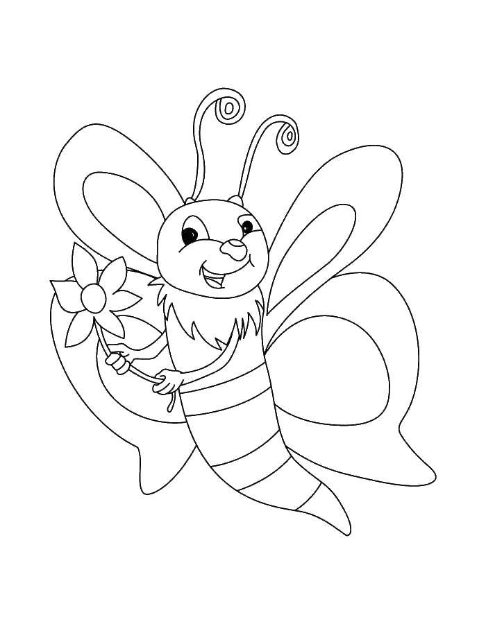 Coloring Bee with flower. Category bee. Tags:  bee, flowers.