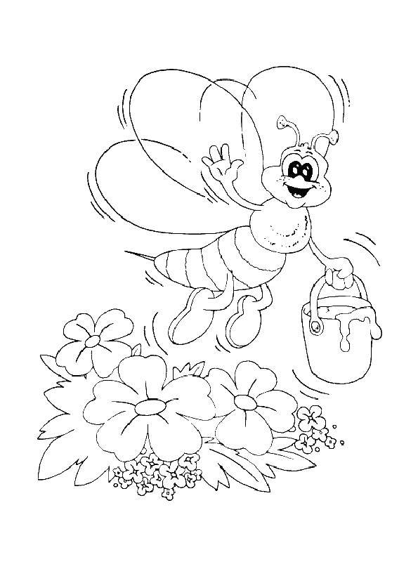Coloring A bee collects nectar. Category bee. Tags:  bee, nectar.