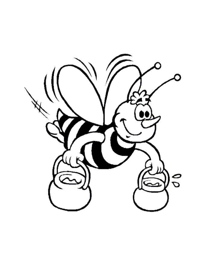 Название: Раскраска Пчела собирает нектар. Категория: пчела. Теги: пчела, цветы.