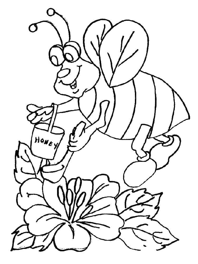 Coloring A bee collects nectar. Category bee. Tags:  bee, nectar.